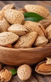 خرید وفروش مستقیم بادام