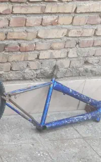 تنه بیست