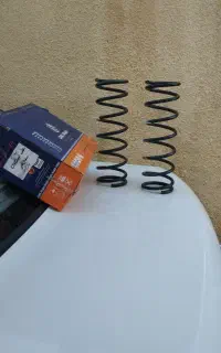 یک جفت فنر لول عقب ساینا