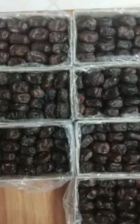 خرمای درجه 1بم