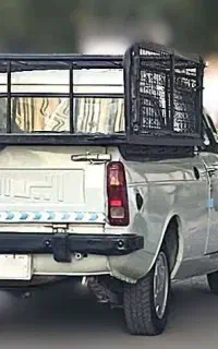 جابجایی انواع بار از زاهدان به سیستان