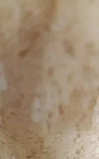 وسایل ن محلی
