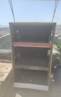 قفس مرغ طوطی مرغ عشق بلدرچین
