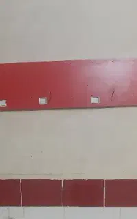 دو عدد رگال