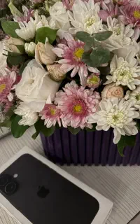 ایفون۱۶