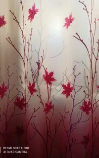 پرده نونو