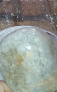 سنگ انگشتر وسنگ فسیل گل 5هزارساله