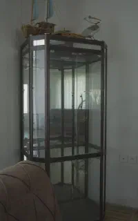 ویترین ظروف