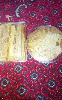 عسل طبیعی 100در100