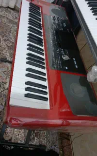 ارگ pa700