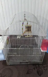 قفس پرنده و لانه