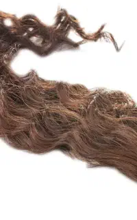 فروش مو قطی
