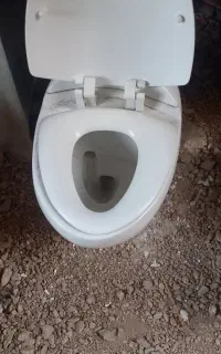 توالت فرنگی و دست شور
