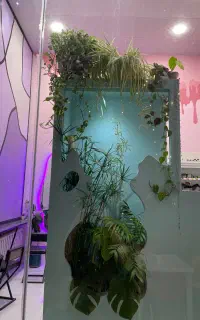 اجرای نقاشی روی دیوار
