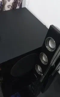 ضبط خونگی