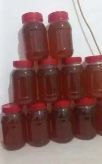 فروش عسل صد درصد طبعیی ژل رویال موجود است