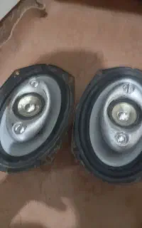 باندظبط