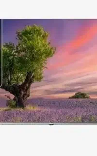 تلوزیون جی پلاس ۵۵ اینچ خشک