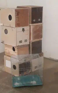 قفس پرنده