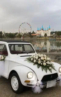 ژیان فروشی /ساوه
