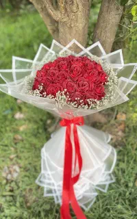 رز ربانی
