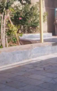 پذیرایی بزرگ