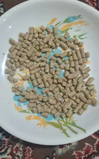 کنسانتره پرواری درجه یک