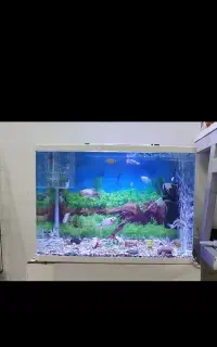 آکواریم به همراه لوازم