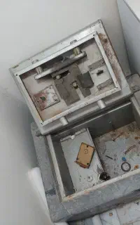 گاو صندوق کوچک