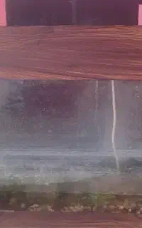 آکواریوم