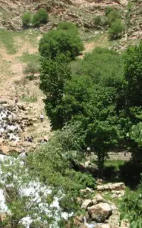 تور یکروزه ،سفر به کاج رستم شهرکرد