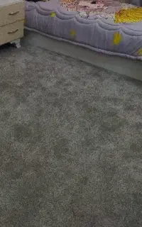 پالاز موکت درحد نو شسته شده دورش لبه دوزی شده