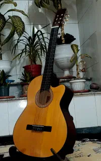 گیتار کلاسیک کاتوی