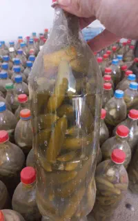 خیار شور بطری