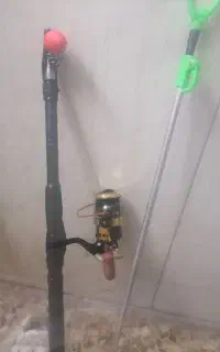 لنسر ماهیگیری