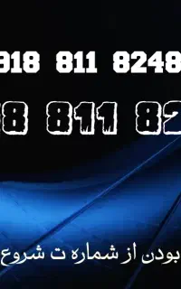 شماره ای برای دیده شدن 811