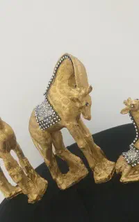 تعدادی دکوری با قیمت مناسب