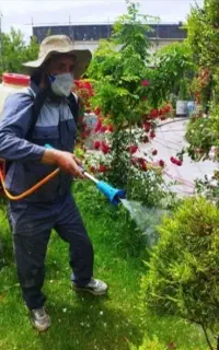 کلیه کارهای باغبانی وسمپاشی گل وگیاه