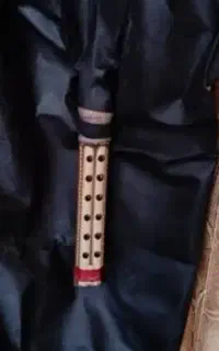 همبون تک رنگ چرمی