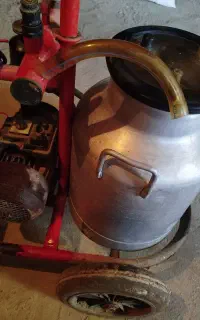 شیر دوش تک گاوه