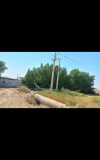 درخت خرید و فروش