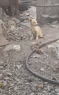 بیستی۸ماه