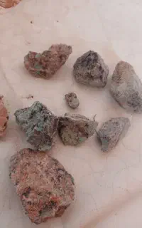 راهنمایی کنید