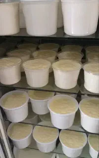 ماست سنتی پرچرب خامه ای
