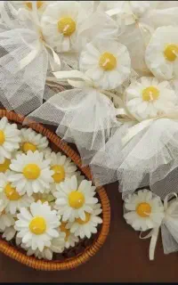 گیفت شمع گل بابونه زیبا  درهمه‌رنگ