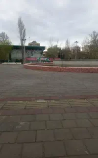 همبازی بدمینتون مبتدی یا حرفه ای