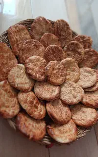 گرده های خونگی