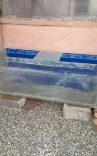 آکواریوم بزرگ سالم سالم