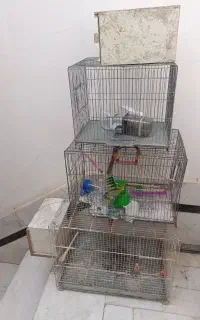 قفس پرنده با لونه و آبخوری و دونخوری