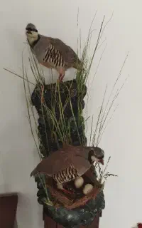 مجسمه
